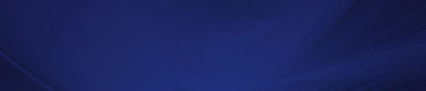 Thales banner Thales banner